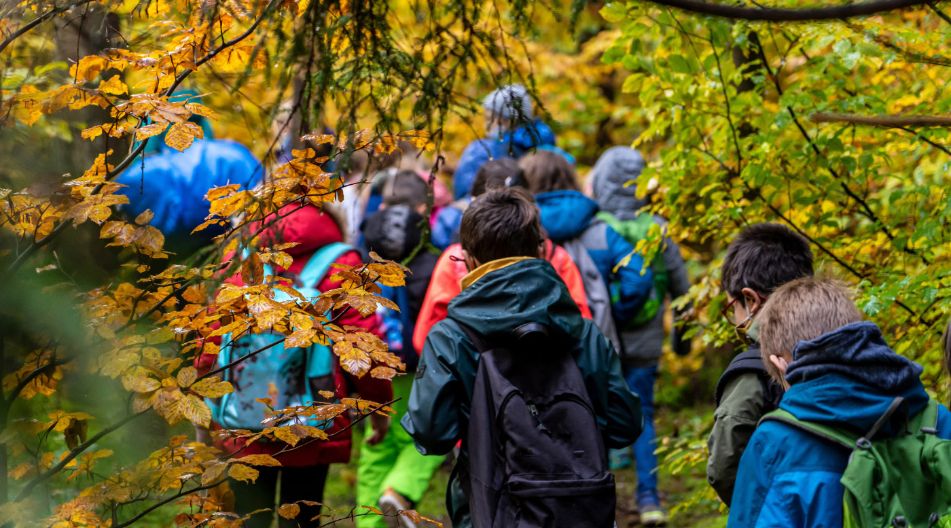Eine Gruppe von Kindern mit Rucksäcken wandert im Herbst durch einen Wald mit gelben und grünen Blättern.