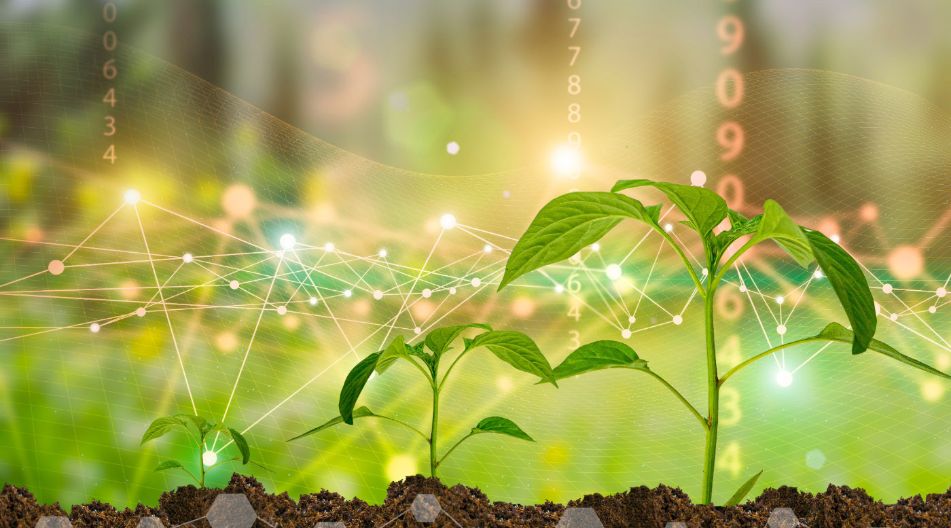 Das Bild zeigt innovative landwirtschaftliche Technologien, die die Zukunft der Landwirtschaft prägen und nachhaltige Praktiken fördern. Das Bild zeigt innovative landwirtschaftliche Technologien, die die Zukunft der Landwirtschaft prägen und nachhaltige Praktiken fördern.