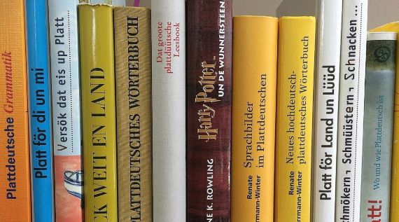 Bücherreihe mit Schwerpunkt auf plattdeutscher Sprache, darunter Grammatik, Wörterbücher und literarische Werke wie eine plattdeutsche Ausgabe von 'Harry Potter' Bücherreihe mit Schwerpunkt auf plattdeutscher Sprache, darunter Grammatik, Wörterbücher und literarische Werke wie eine plattdeutsche Ausgabe von 'Harry Potter'